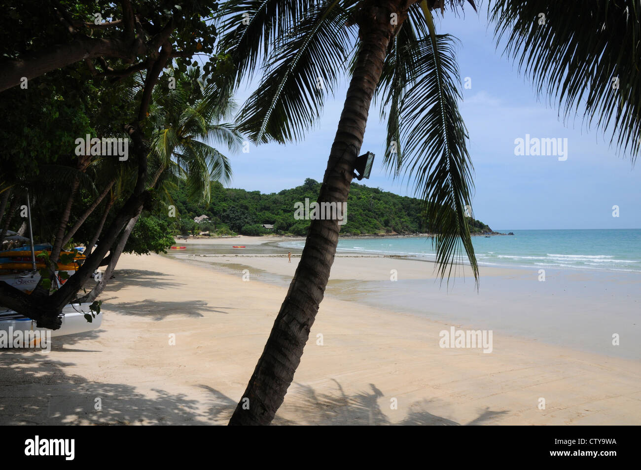 Nikki Beach, Koh Samui, île, palmiers, plage de sable fin, ciel bleu, plage vide, la Thaïlande. Banque D'Images