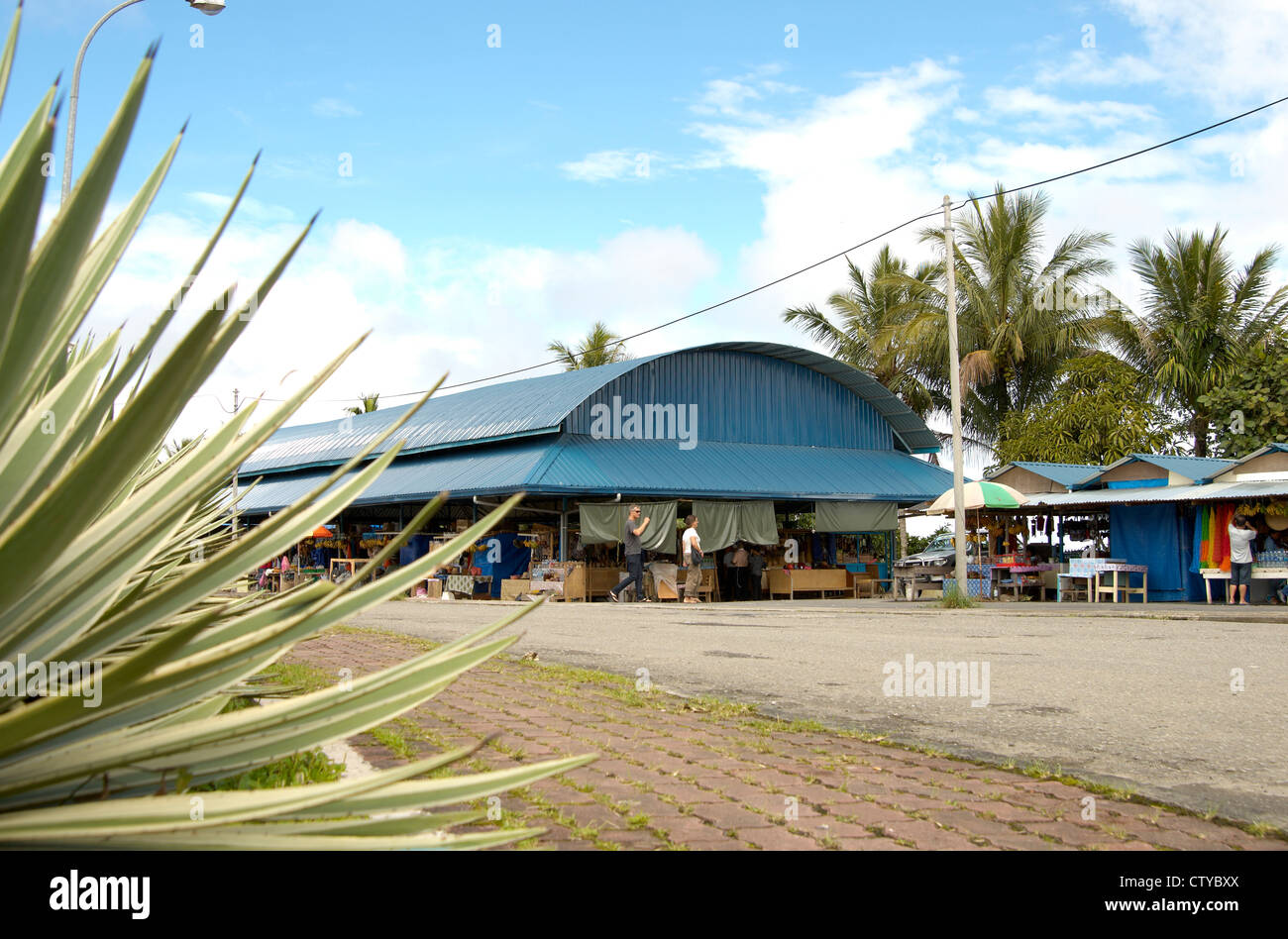 Stand près du Mont Kinabalu, Sabah, Bornéo Banque D'Images
