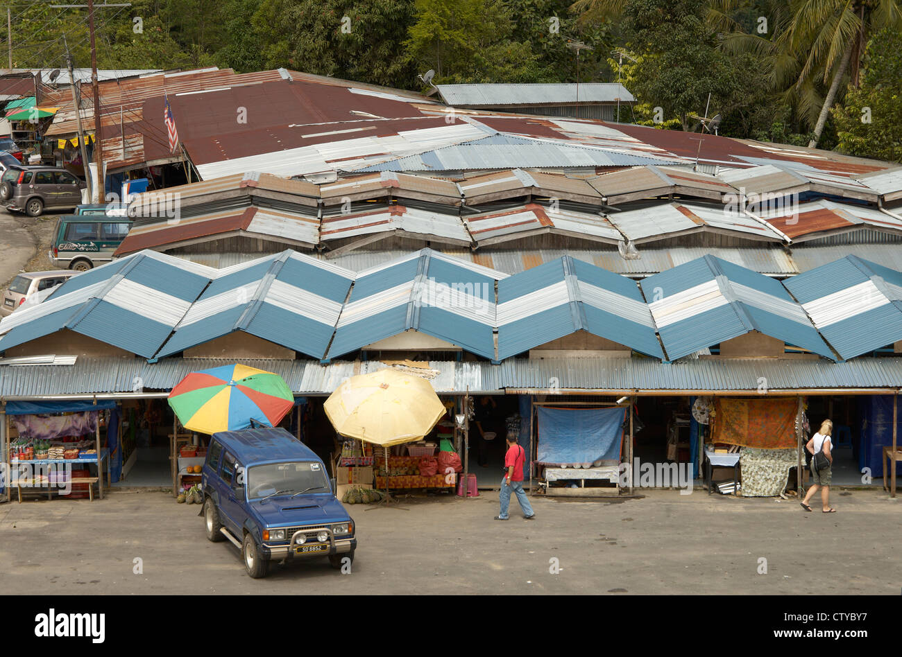 Stand près du Mont Kinabalu, Sabah, Bornéo Banque D'Images