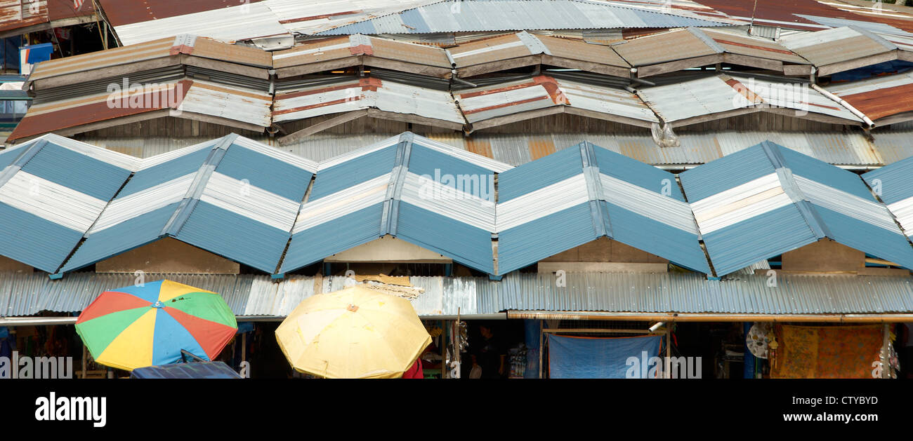 Stand près du Mont Kinabalu, Sabah, Bornéo Banque D'Images