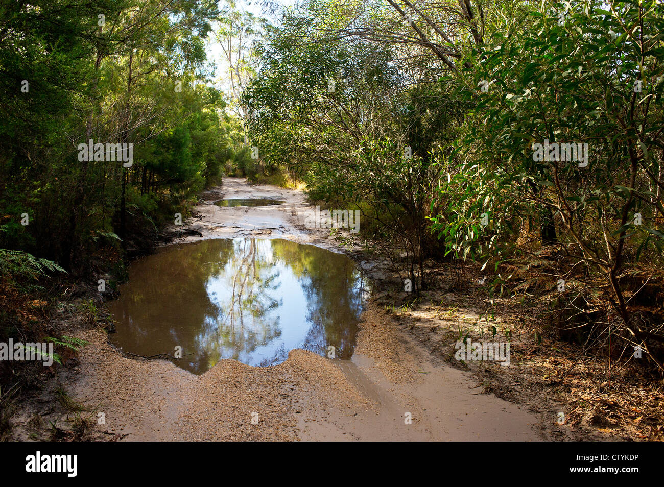 Une piste à travers la brousse sur North Stradbroke Island dans le Queensland Banque D'Images