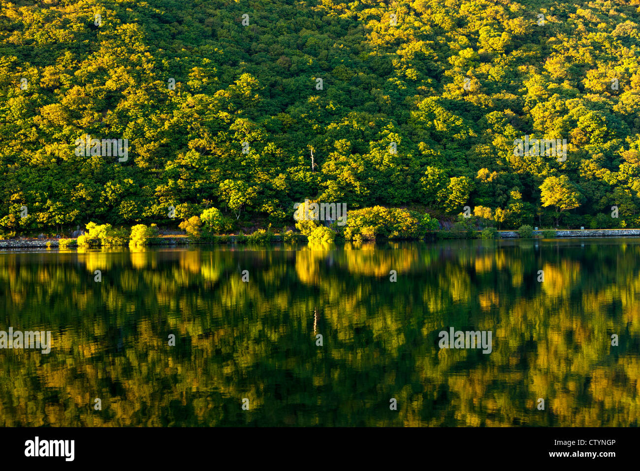 Llyn Padarn, Parc National de Snowdonia, Llanberis, au Pays de Galles Banque D'Images