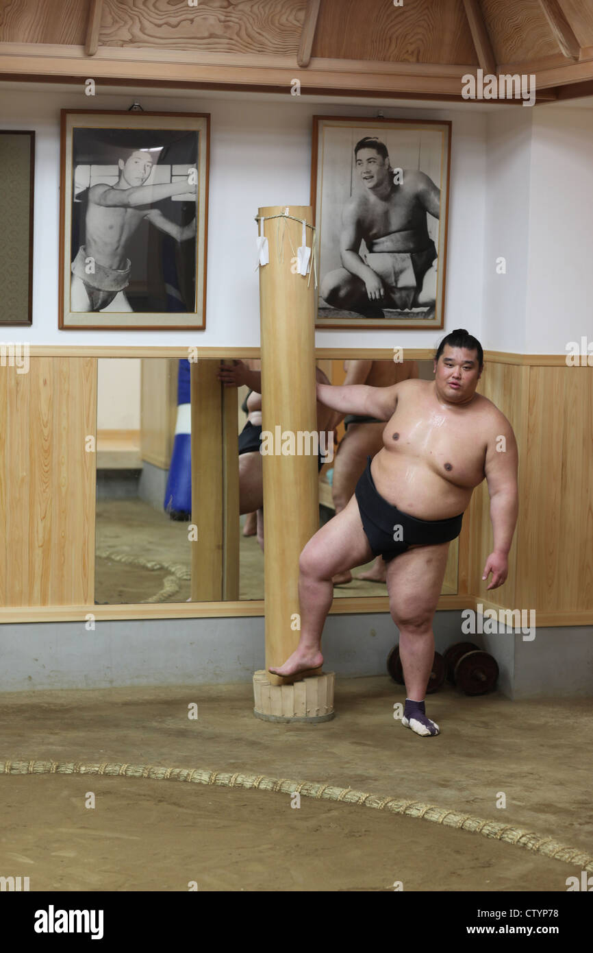 Lutteur de sumo au Japon à un programme de formation Banque D'Images Lutteur de sumo au Japon à un programme de formation Banque D'Images