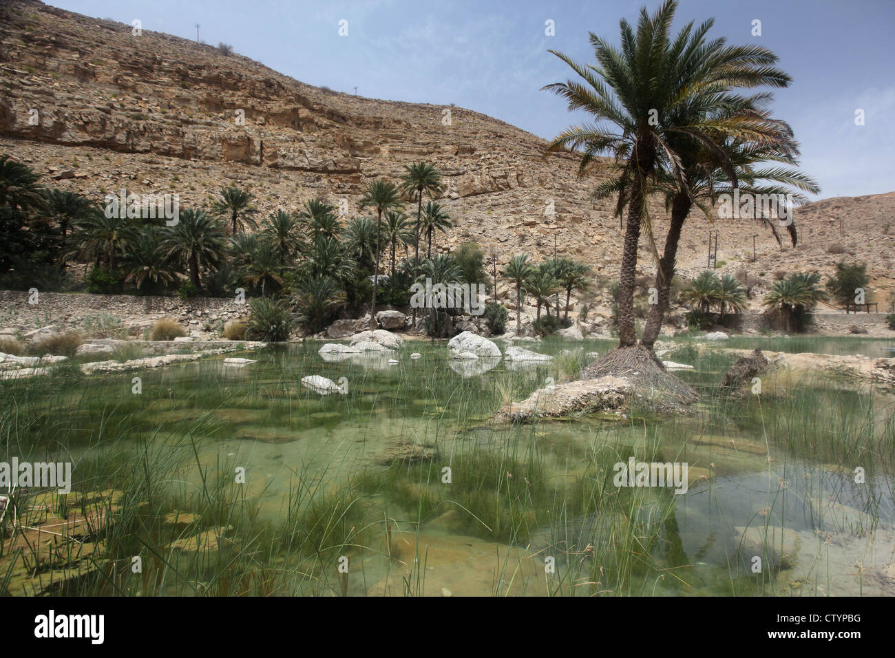 Oasis dans le désert Banque D'Images