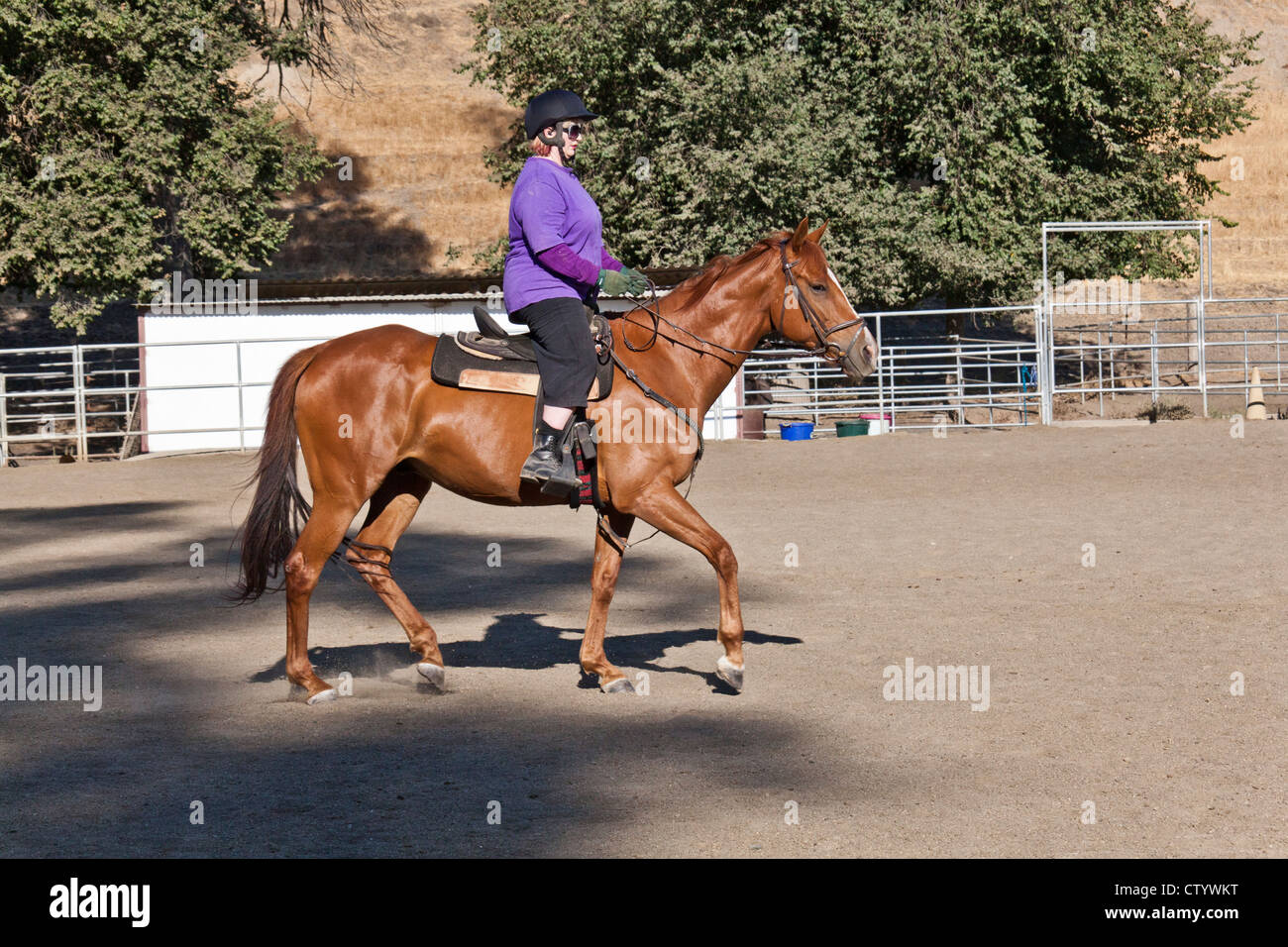 Une femme portant un casque est monté sur un cheval brun dans une arène de stable d'embarquement. Banque D'Images