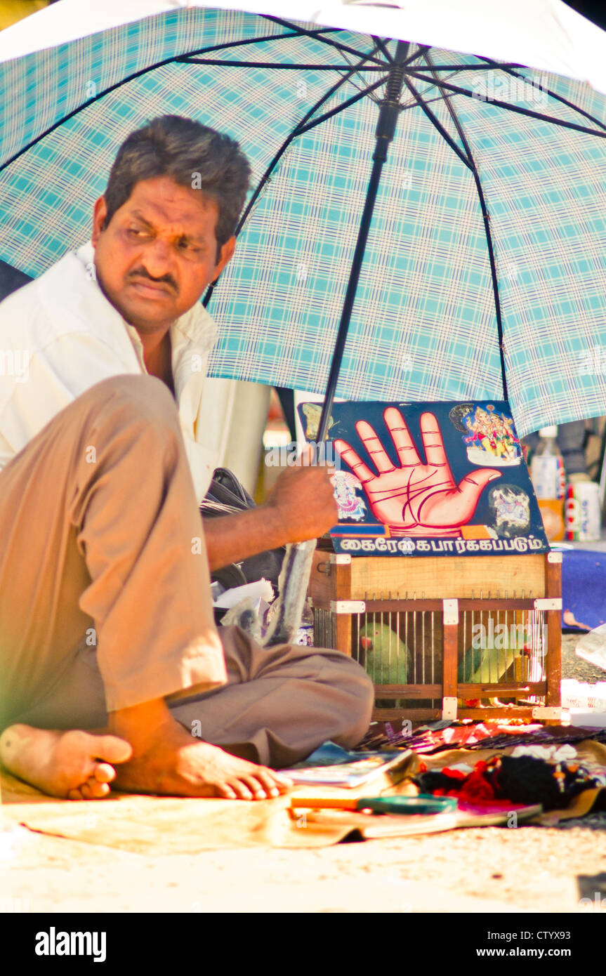 Un Indien Fortune Teller, palm reading et perroquets cartes cueillette de prédire l'avenir. Banque D'Images