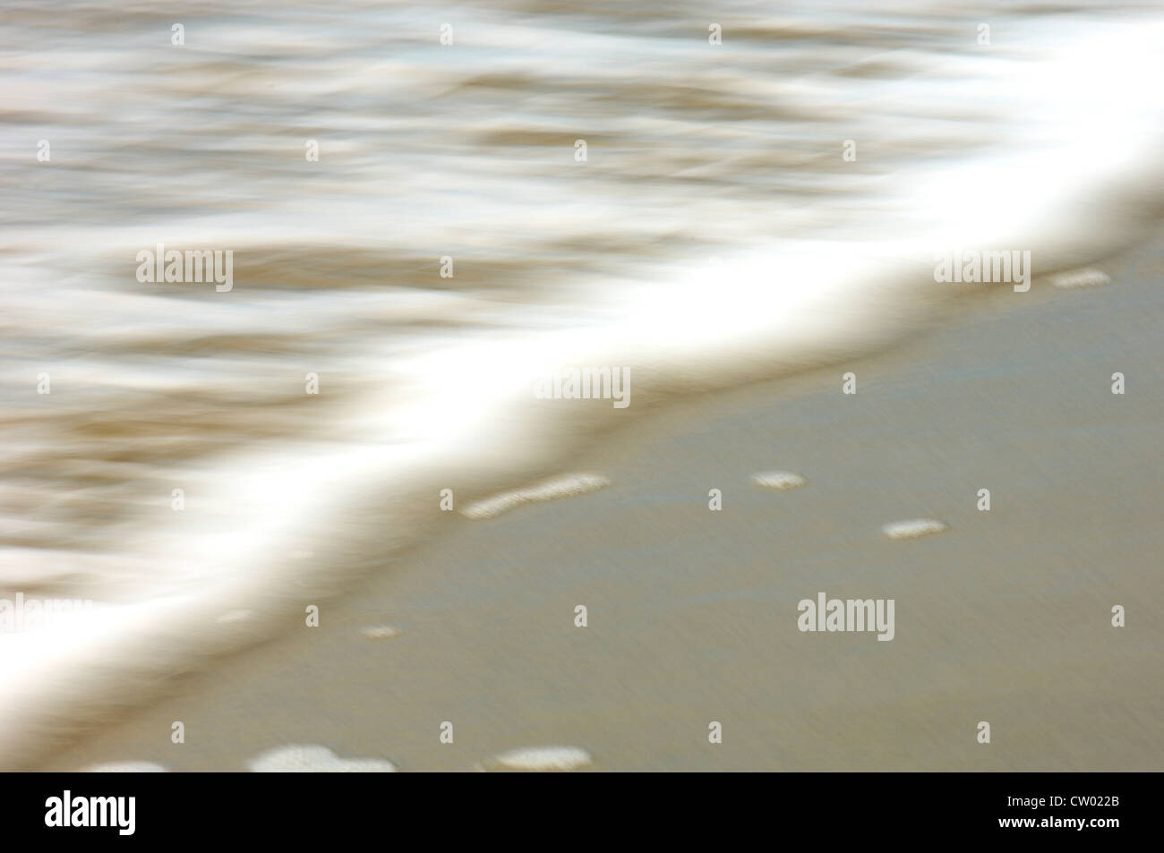 Scène de plage tropicale montrant au clapotis des vagues du rivage Banque D'Images