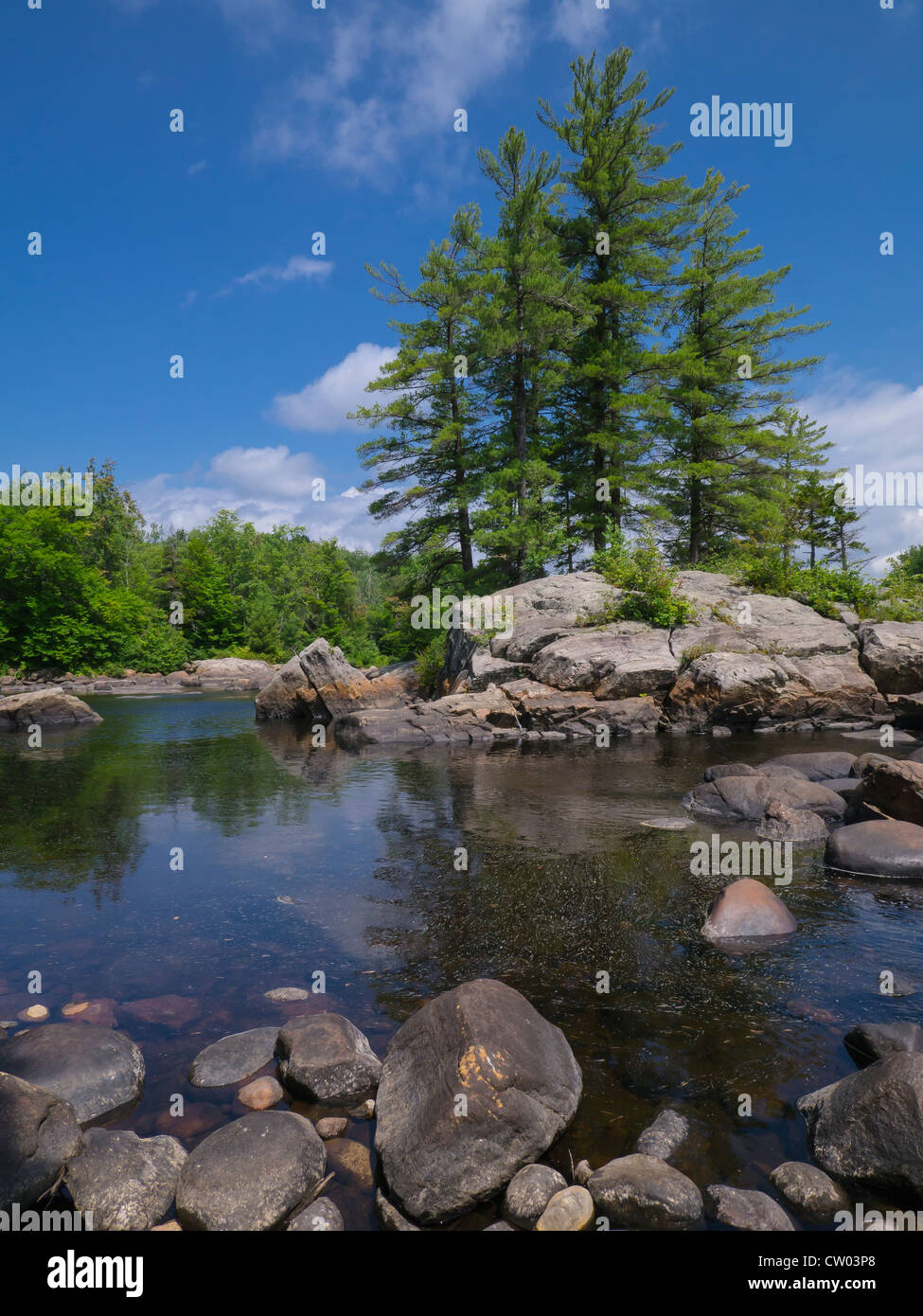 Rivière Moose, dans les Adirondacks de l'État de New York Photo Stock ...