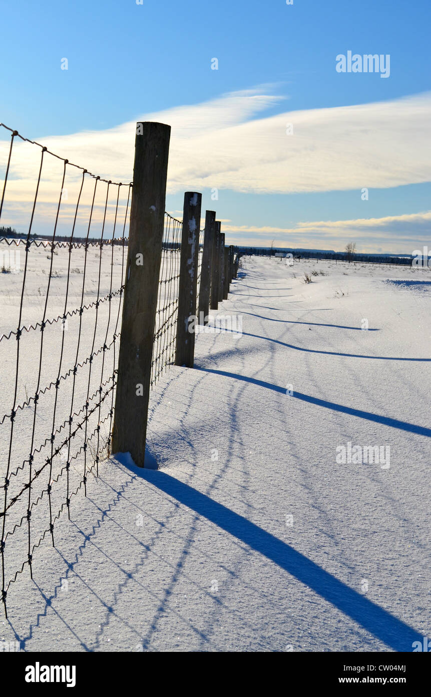 Le début de l'hiver soleil casting shadows de la clôture, sur le sol couvert de neige. Banque D'Images