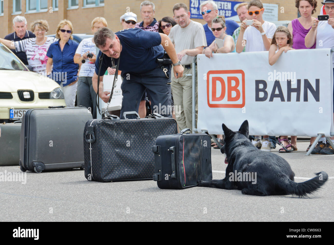 Chien Renifleur de drogue d'une police allemande K-9 recherche l'unité des drogues les drogues illicites pour valises vu par les spectateurs, DB Deutsche Bahn Banque D'Images