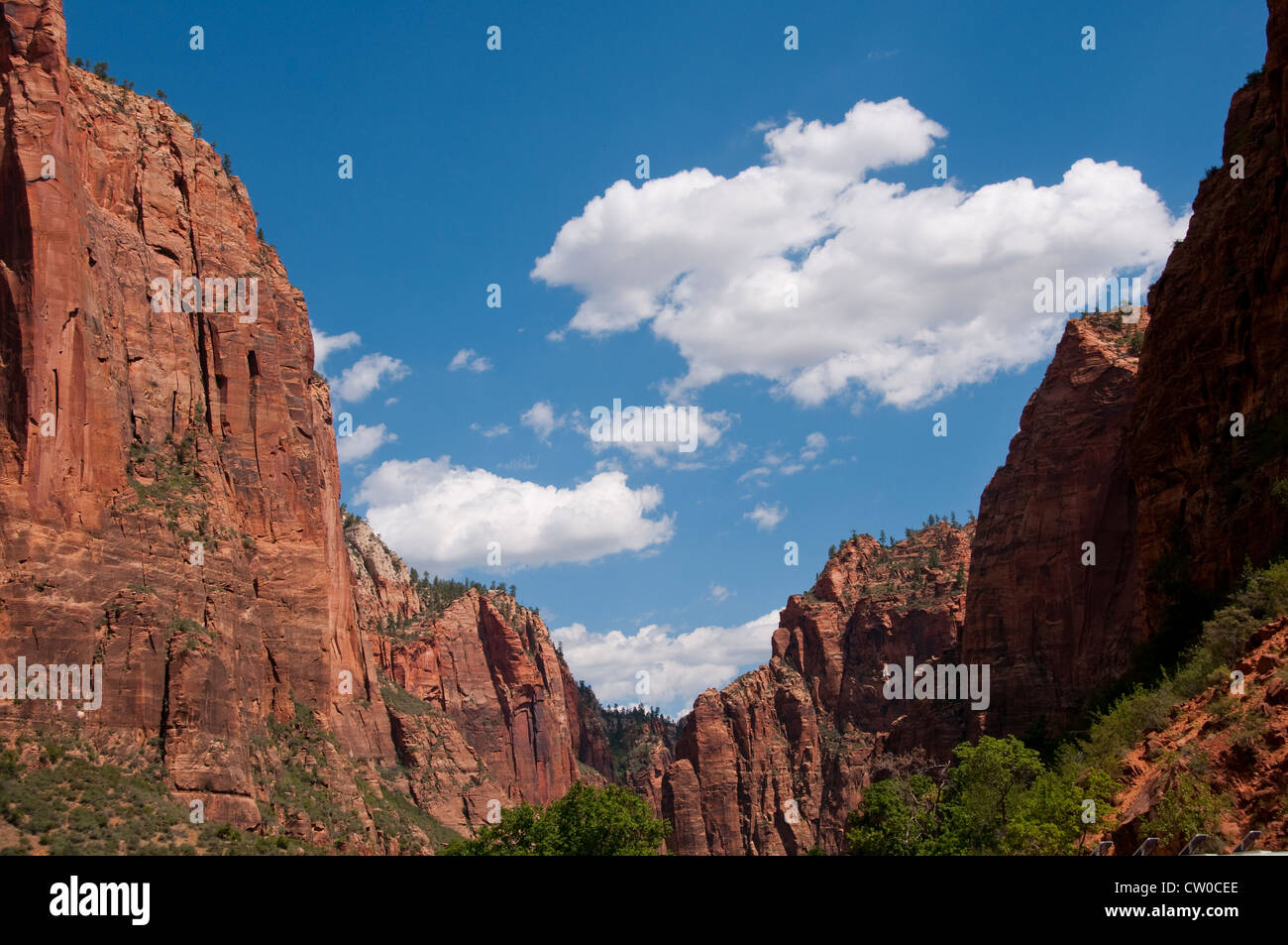 USA, Utah Zion National Park. Forme des terres de Big Bend. Banque D'Images