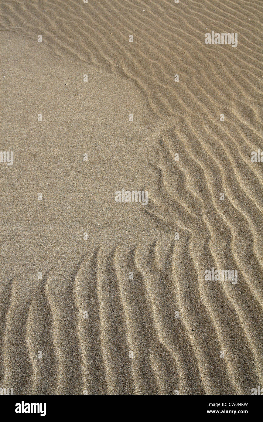 Fait ​​By trace le vent sur les dunes de sable, plage Espiguette, Le Grau du Roi, Languedoc Roussillon, France Banque D'Images