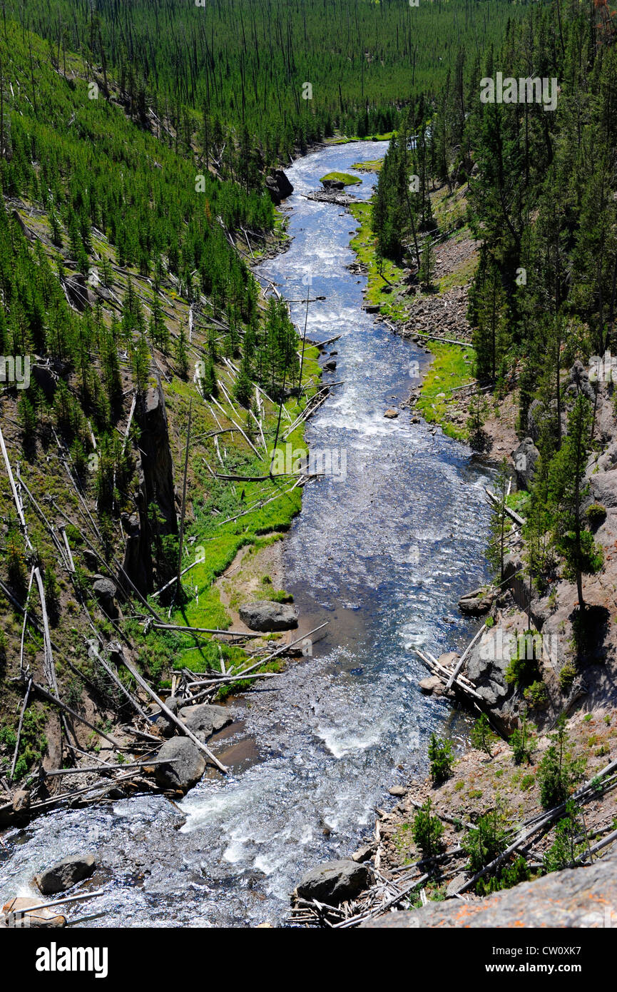 Gibbon Falls Parc national de Yellowstone, Wyoming WY Banque D'Images