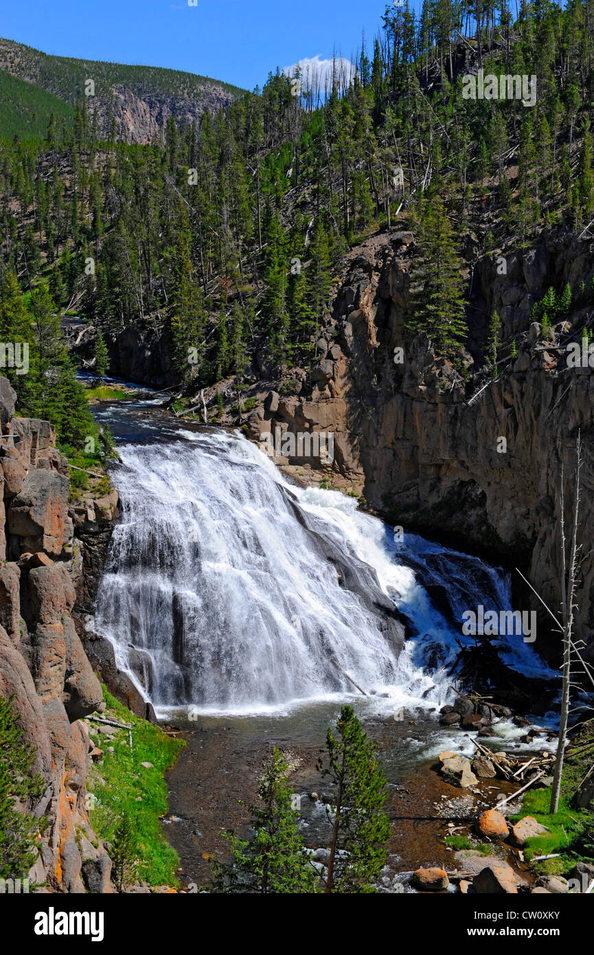 Gibbon Falls Parc national de Yellowstone, Wyoming WY Banque D'Images