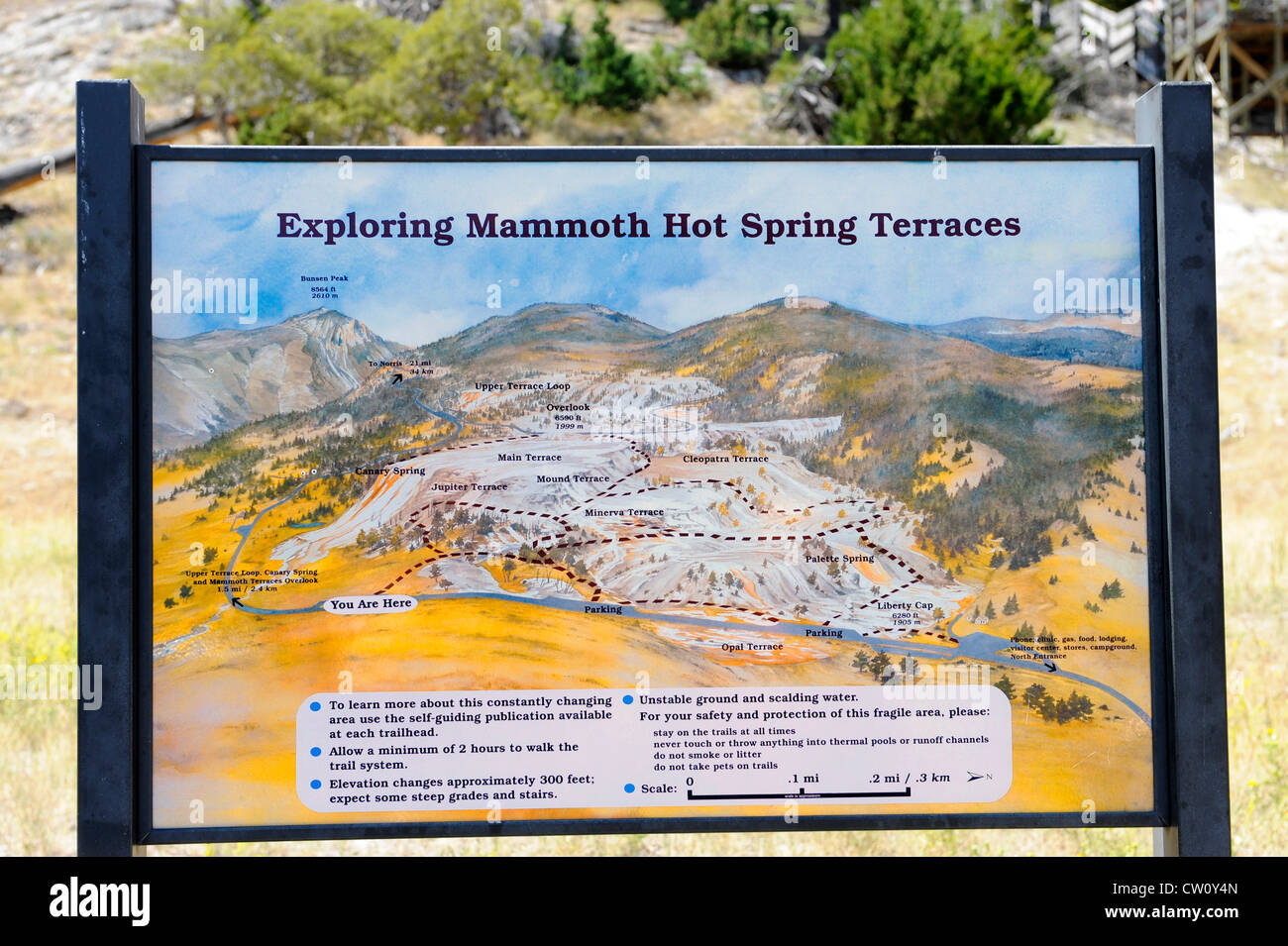 Mammoth Hot Springs Parc National de Yellowstone, Wyoming WY Banque D'Images