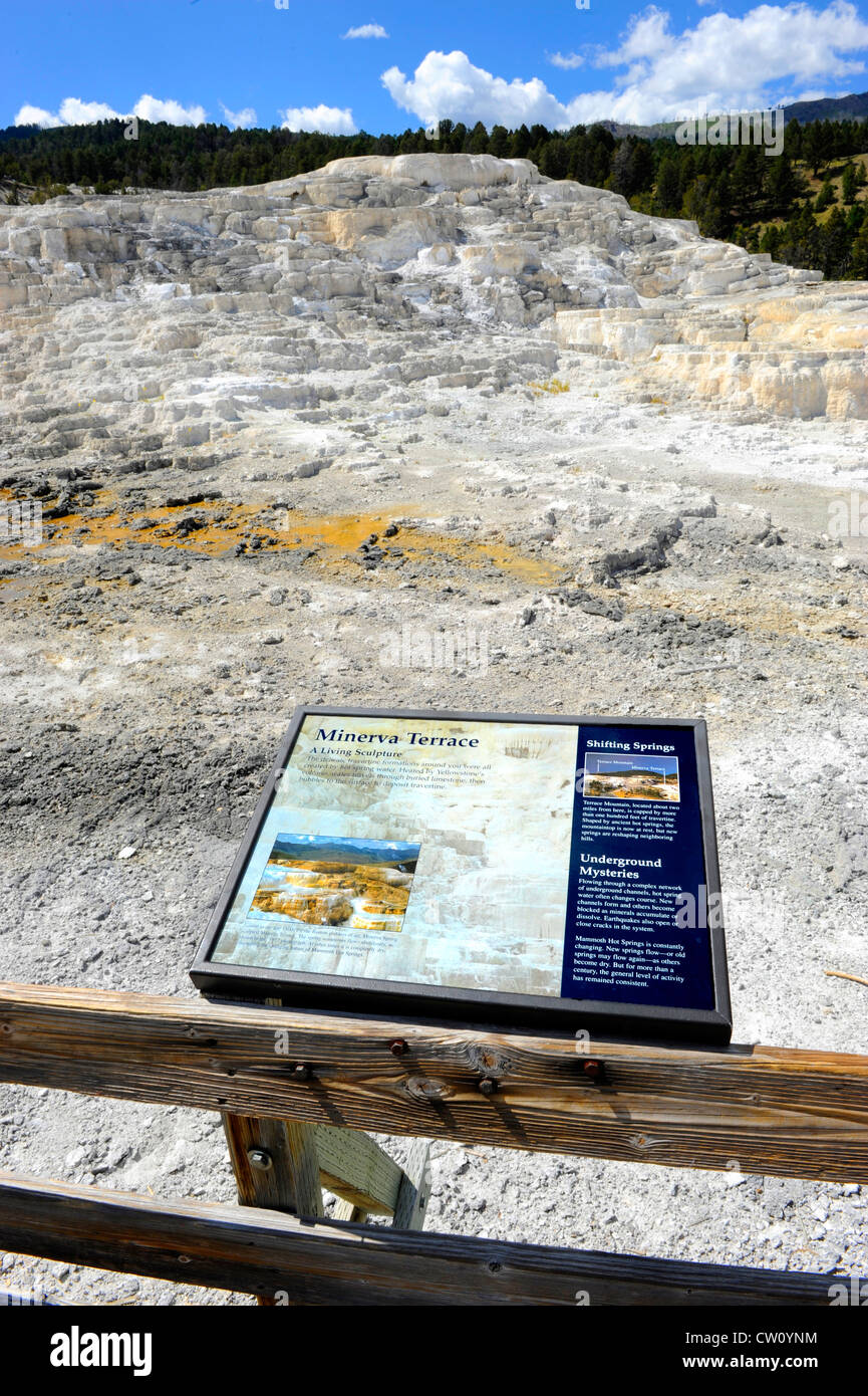 Minerva Terrasse Mammoth Hot Springs Parc National de Yellowstone, Wyoming WY Banque D'Images