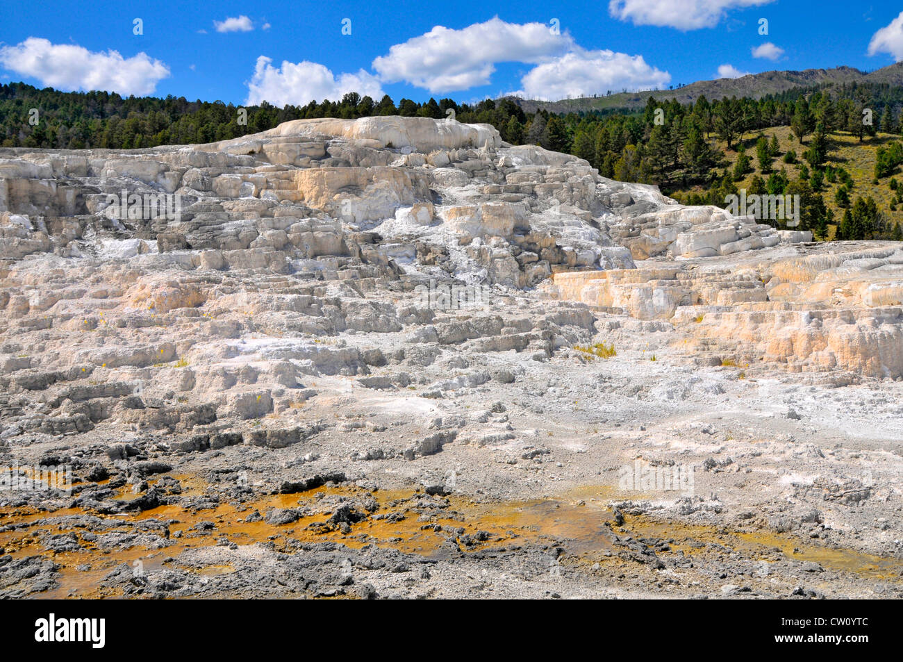 Minerva Terrasse Mammoth Hot Springs Parc National de Yellowstone, Wyoming WY Banque D'Images