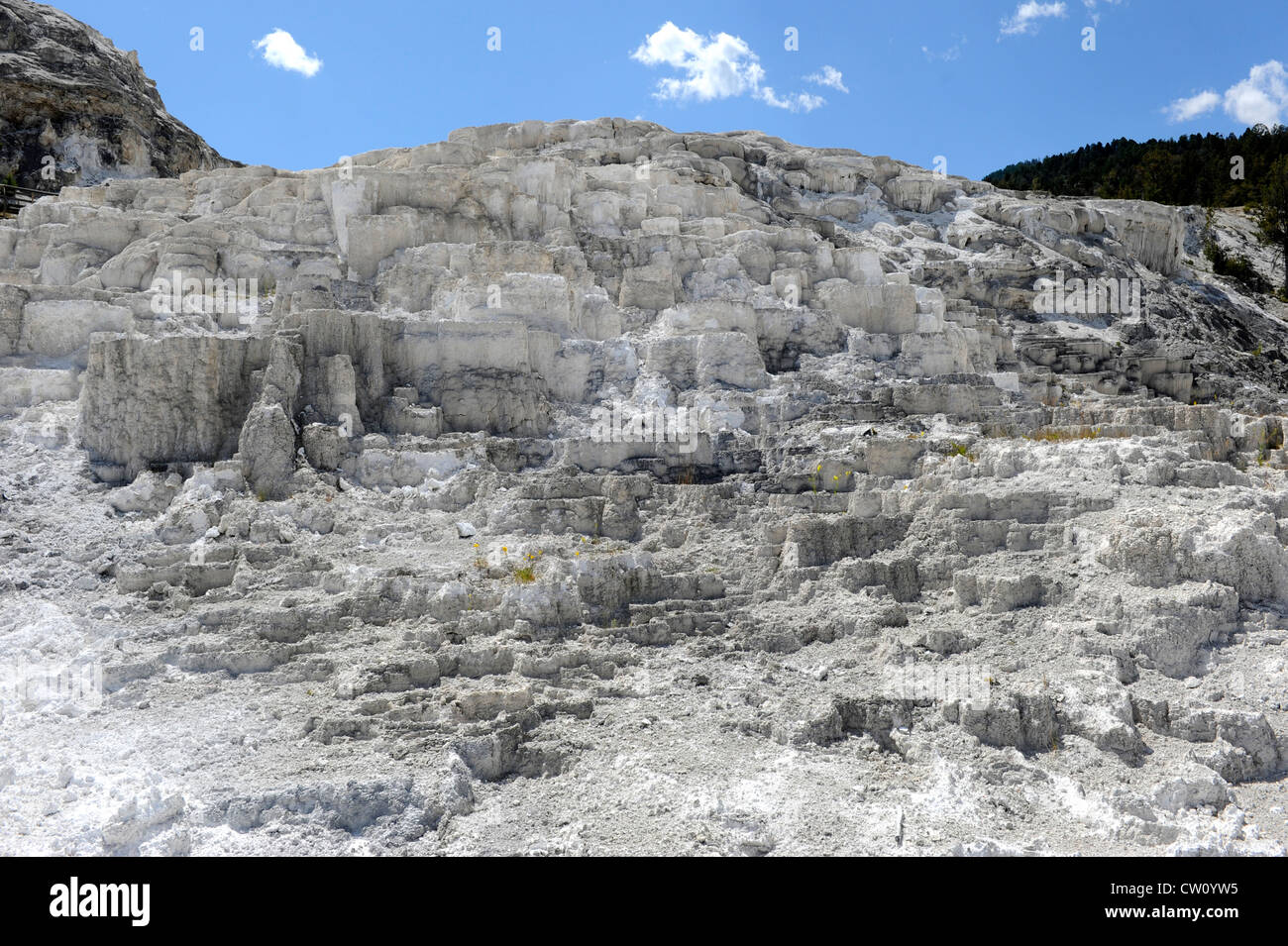 Minerva Terrasse Mammoth Hot Springs Parc National de Yellowstone, Wyoming WY Banque D'Images