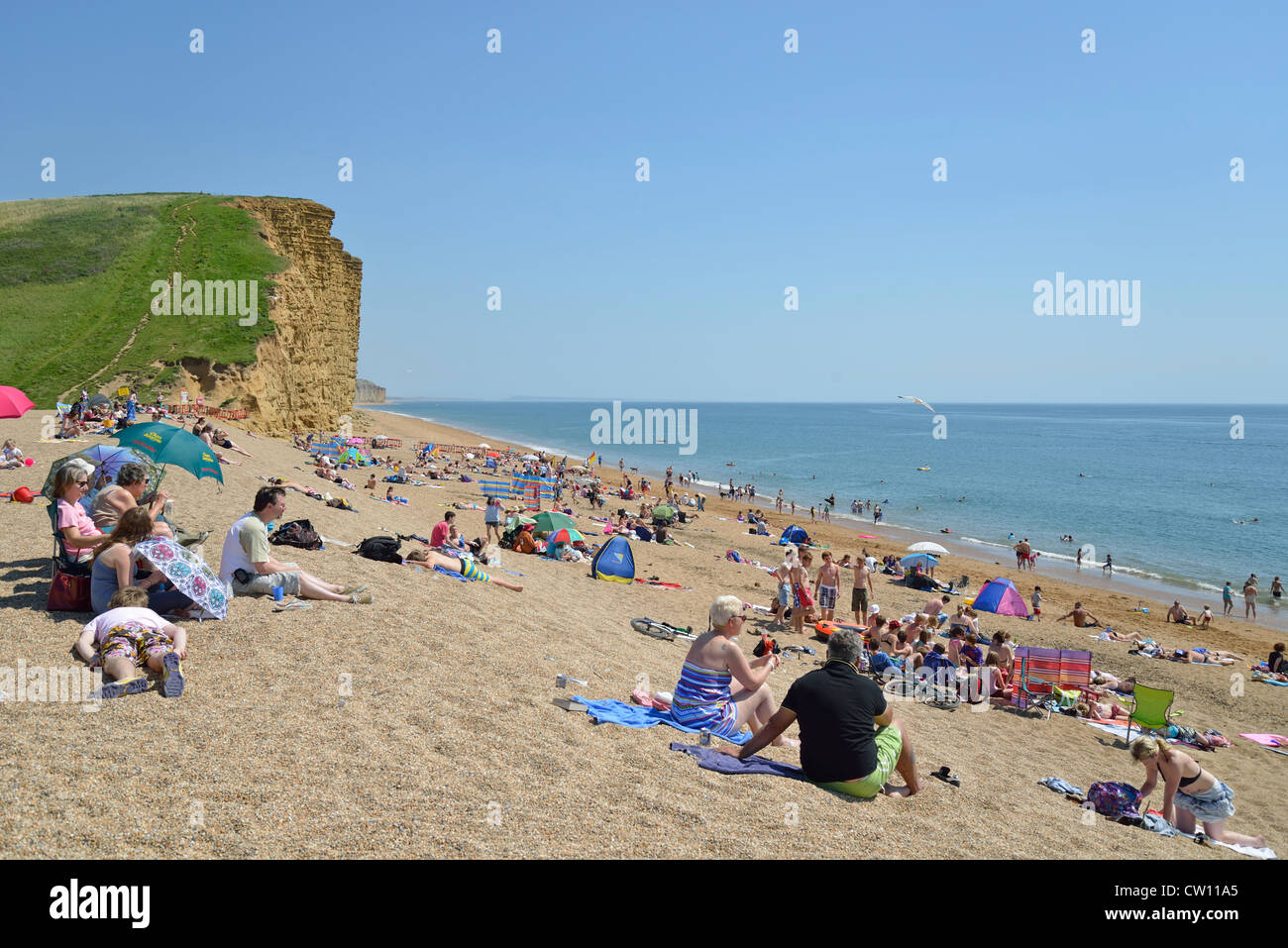 Vue sur la plage et falaises, West Bay, Dorset, Angleterre, Royaume-Uni Banque D'Images