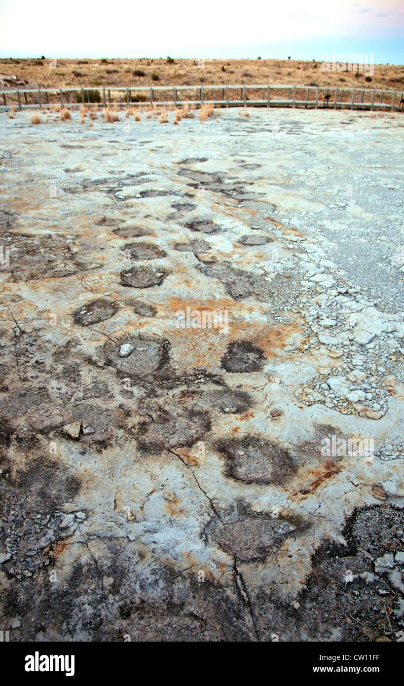 Près de Clayton, Nouveau Mexique : pistes fossilisées de quelque huit sortes de dinosaures, fait quelques 100 millions d'années. Banque D'Images