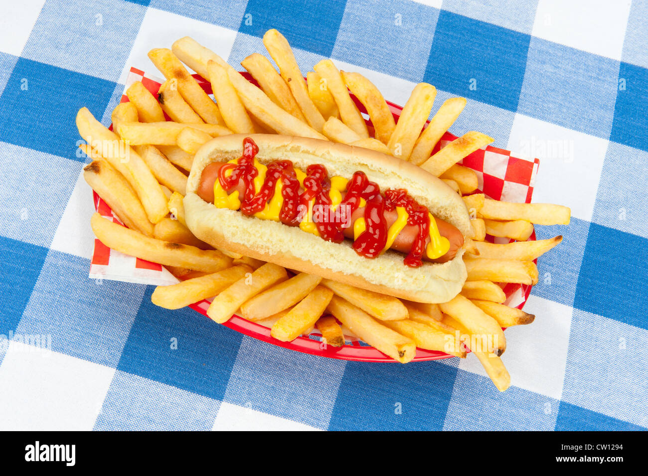 Un nouveau hotdog entouré de frites avec de l'eau très chaude dans un panier rouge servant sur une nappe à carreaux. Banque D'Images