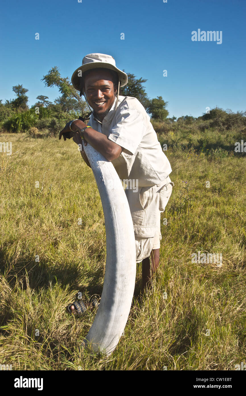 Pilote sur safari. Duba, Afrique. Banque D'Images