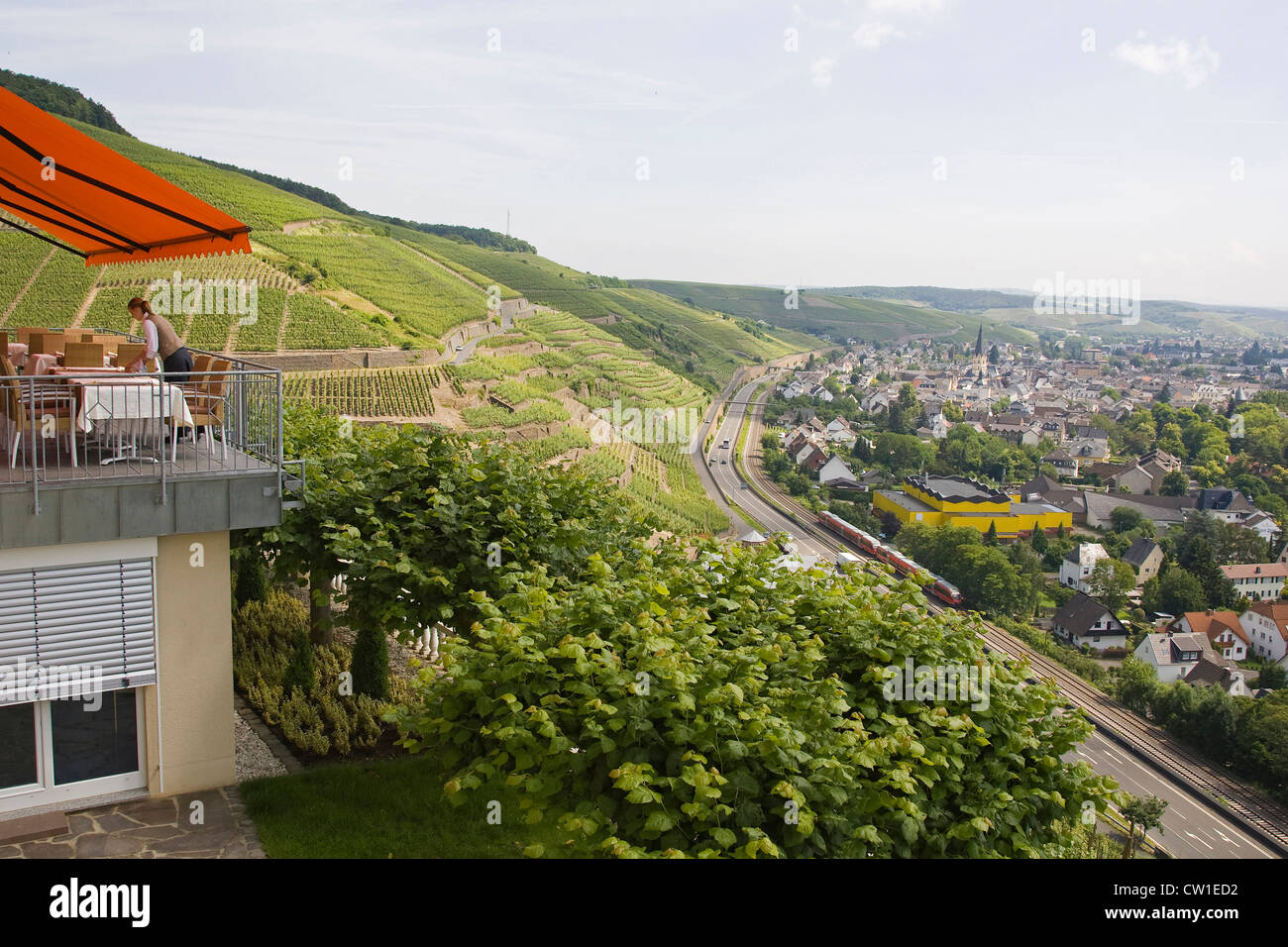 L'Europe, Allemagne, Rhénanie, domaine de Bonn, Ahrweiler, vignes, sentier du vin, vue panoramique Banque D'Images