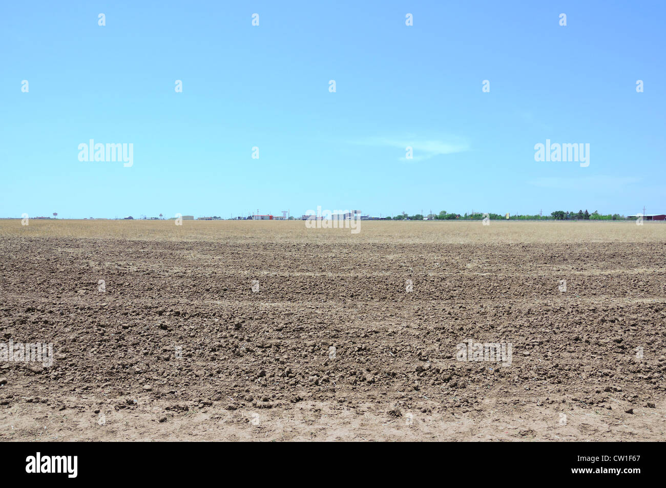 Les terres agricoles près de Amarillo, Texas, USA Banque D'Images