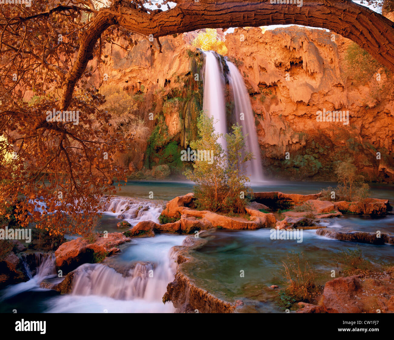 Les visiteurs du monde entier font le voyage à Havasu Falls Havasupai principalement pour. Banque D'Images