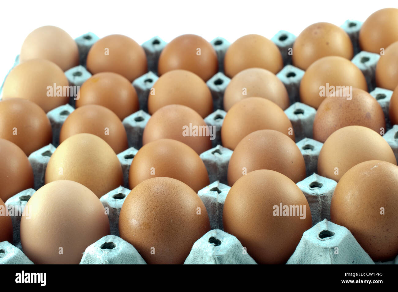 Close-up oeufs dans le paquet Banque D'Images