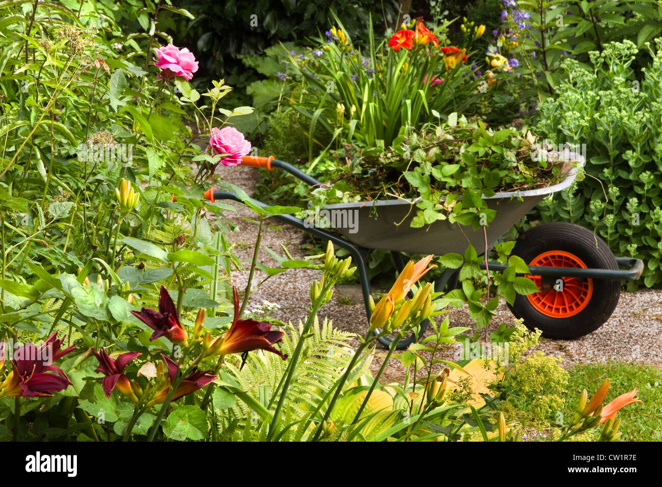 Le nettoyage de l'été jardin plein de fleurs et de brouette avec jardin-déchets, les plantes et les mauvaises herbes - horizontal Banque D'Images