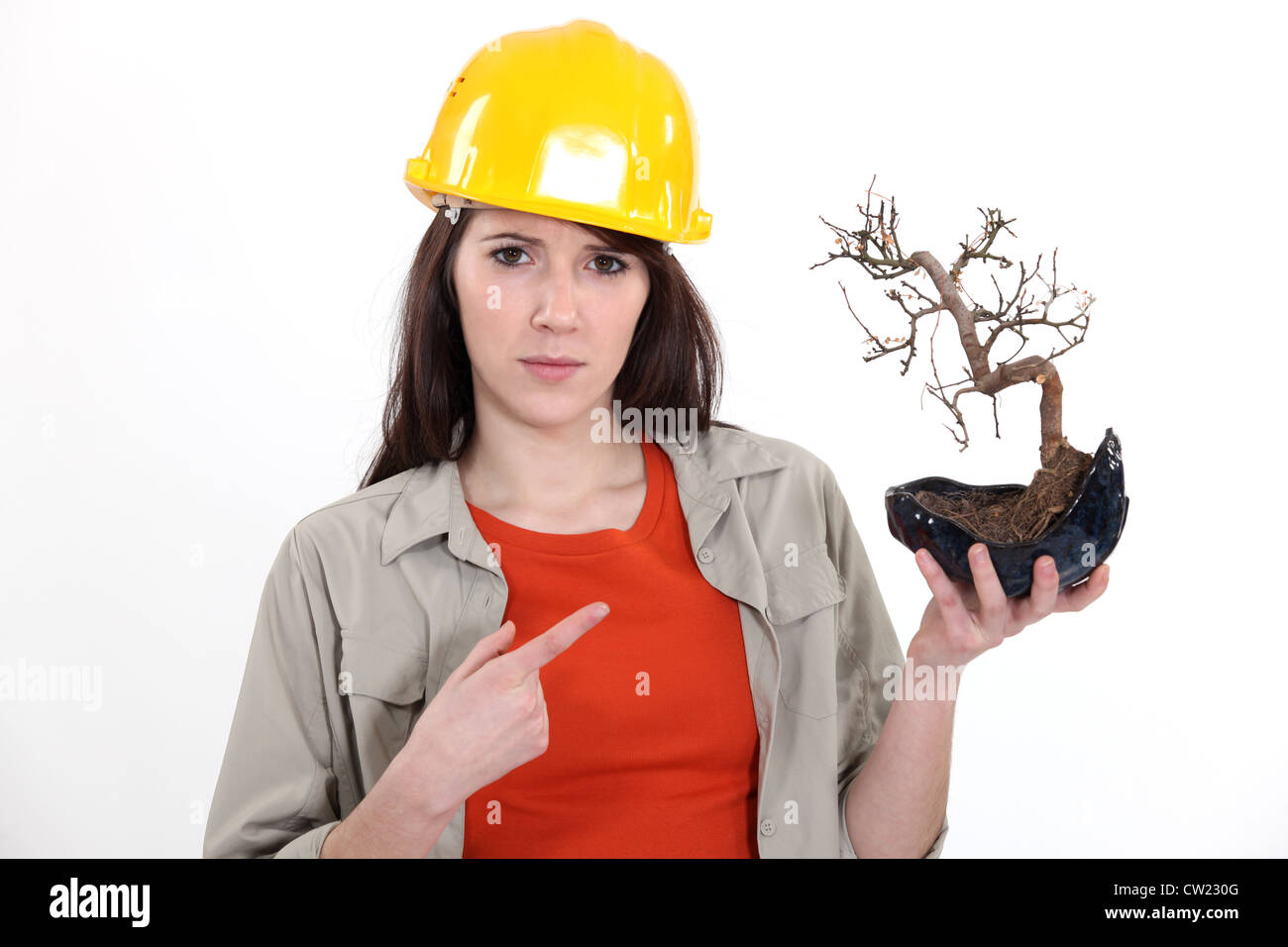 Tradeswoman tenant un arbre de bonzaies Banque D'Images