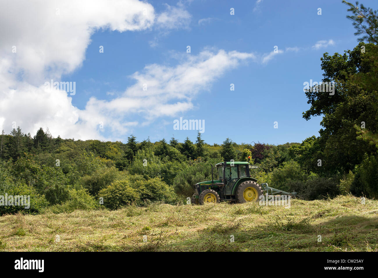 Après la coupe du tracteur wildflower meadow. RHS Rosemoor, Great Torrington. Devon Banque D'Images