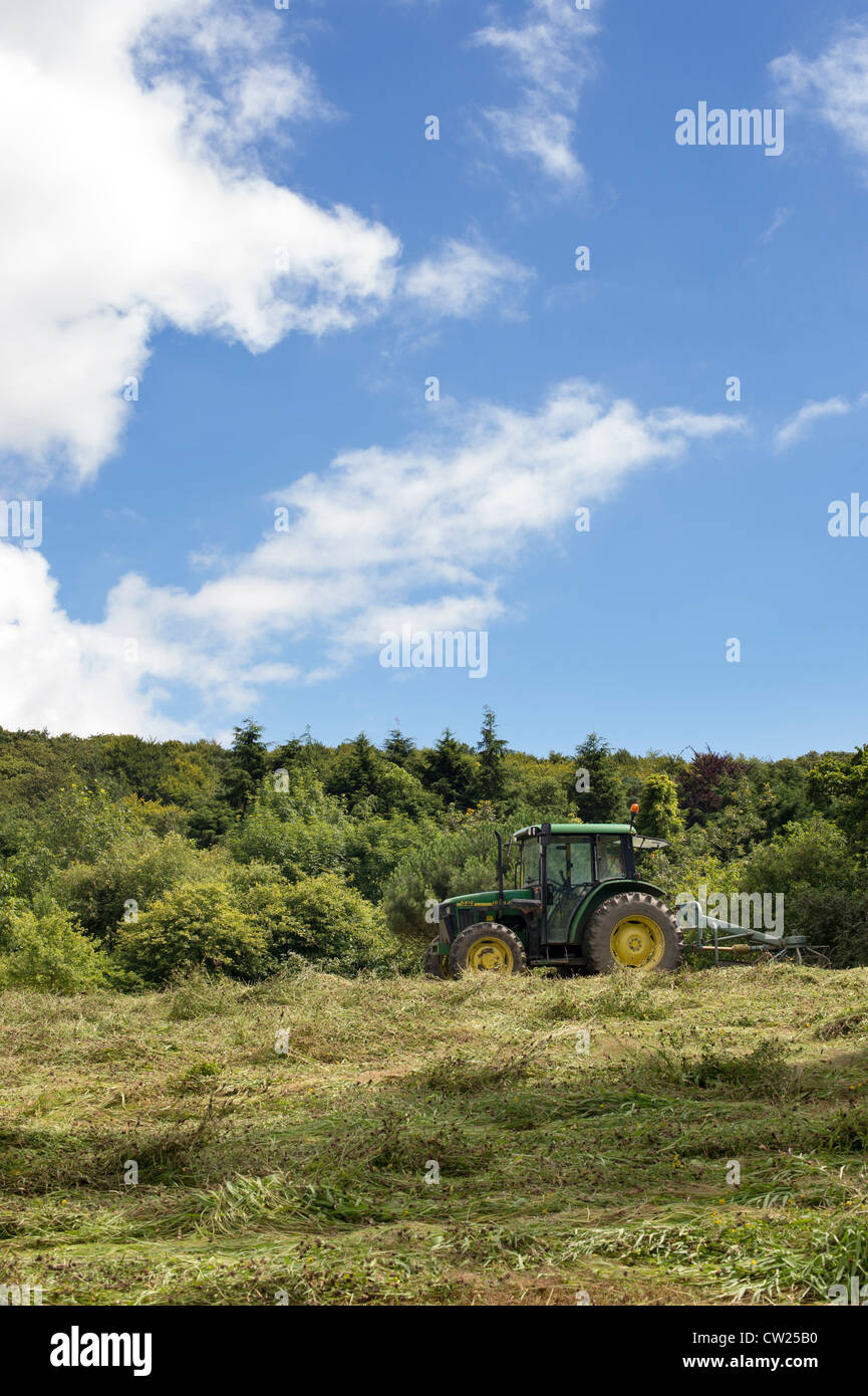 Après la coupe du tracteur wildflower meadow. RHS Rosemoor, Great Torrington. Devon Banque D'Images