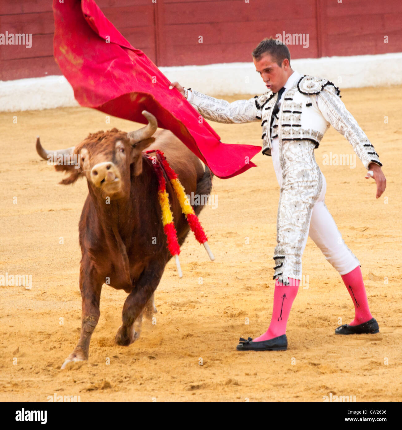 La tauromachie en Espagne. 20 juillet 2012, la Linea de la Concepcion, Espagne. Banque D'Images