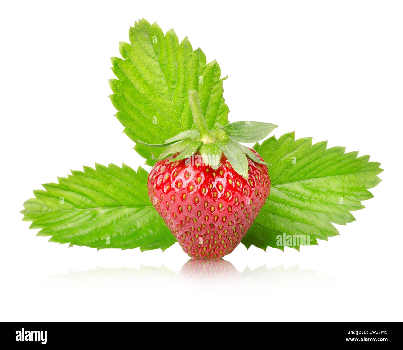 Une fraise mûre avec des feuilles isolées sur fond blanc Banque D'Images