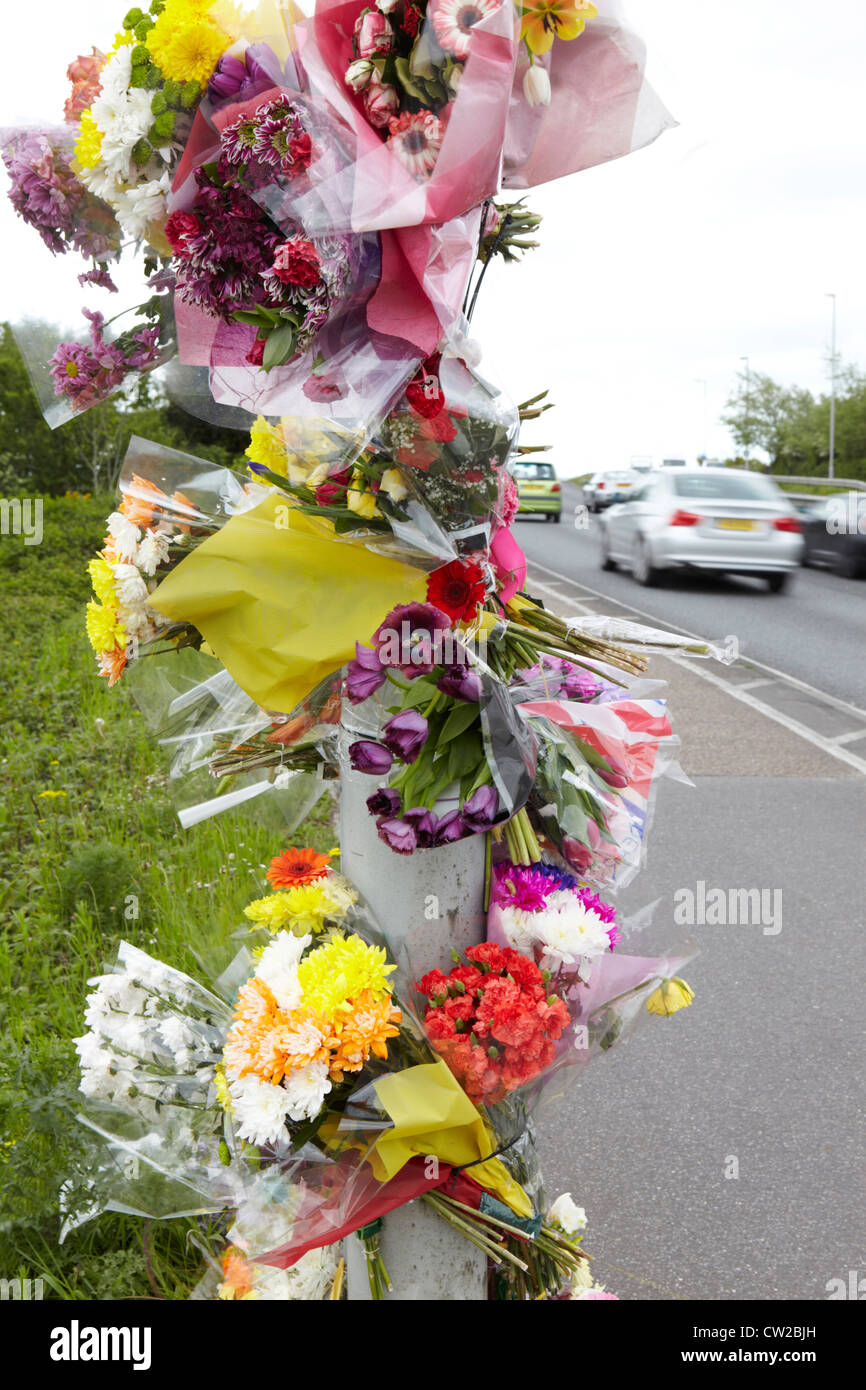 Tributs floraux sur le site de l'accident mortel de la circulation Banque D'Images