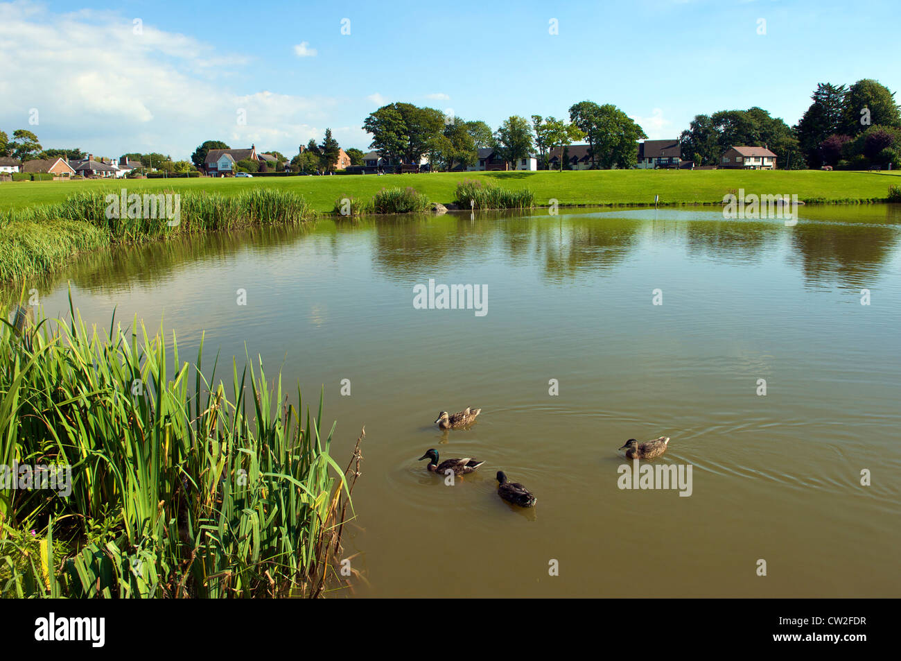 Wrea Green Village,Duck Pond,Preston Lancashire, Royaume-Uni Banque D'Images