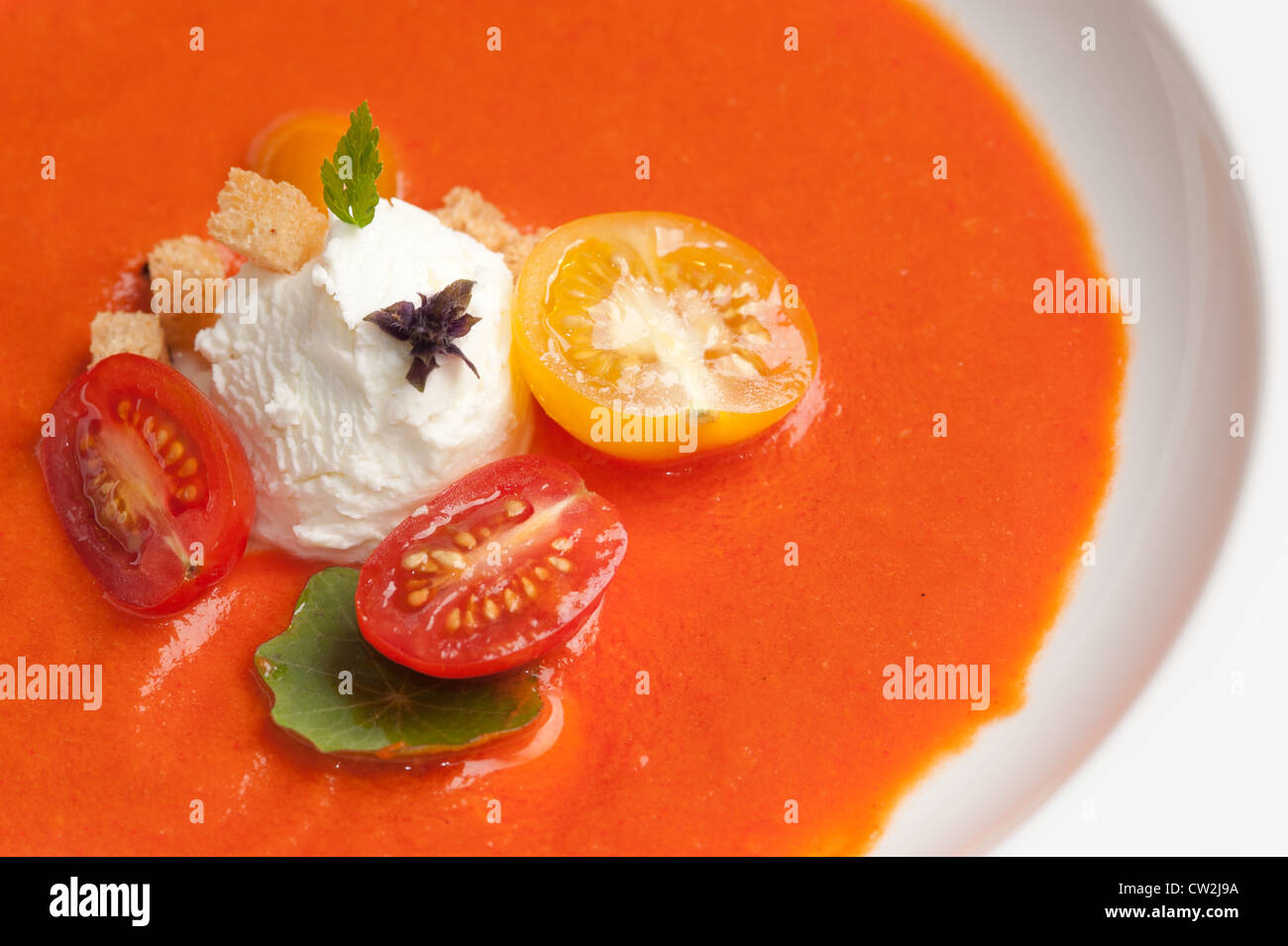Soupe de tomate avec les garnitures Banque D'Images