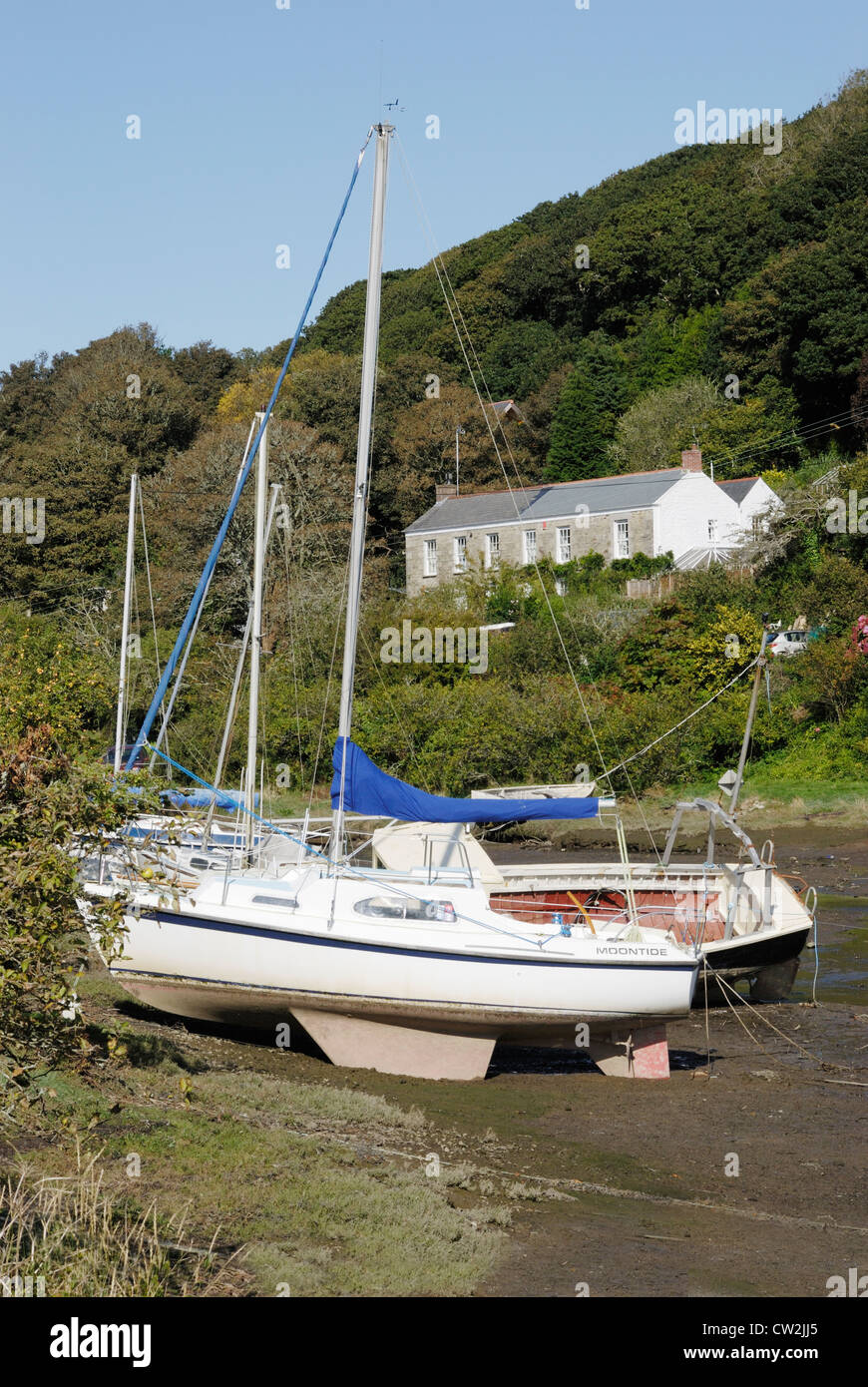 Bateaux à voile amarré à Restronguet Creek, près de Truro, Cornwall, UK Banque D'Images