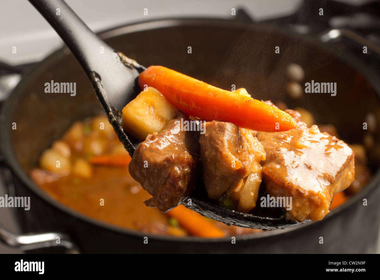 Navarin printanier, ragoût d'agneau français avec les pommes de terre, les navets et les carottes Banque D'Images