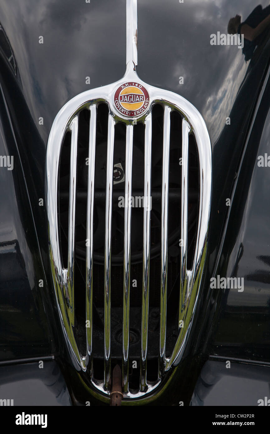Grille de radiateur et d'un insigne, Jaguar XK 140 Banque D'Images