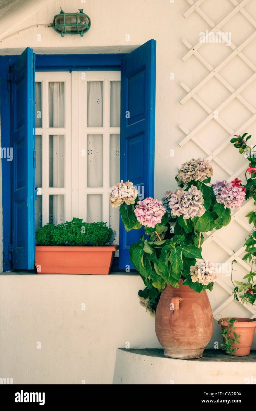 Une fenêtre avec des volets bleus et hortensias Banque D'Images