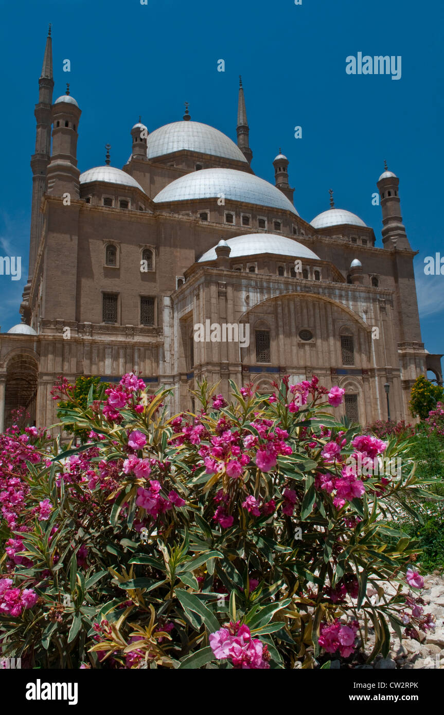 Mosquée de Mohamed Ali , la Citadelle Le Caire Egypte Banque D'Images