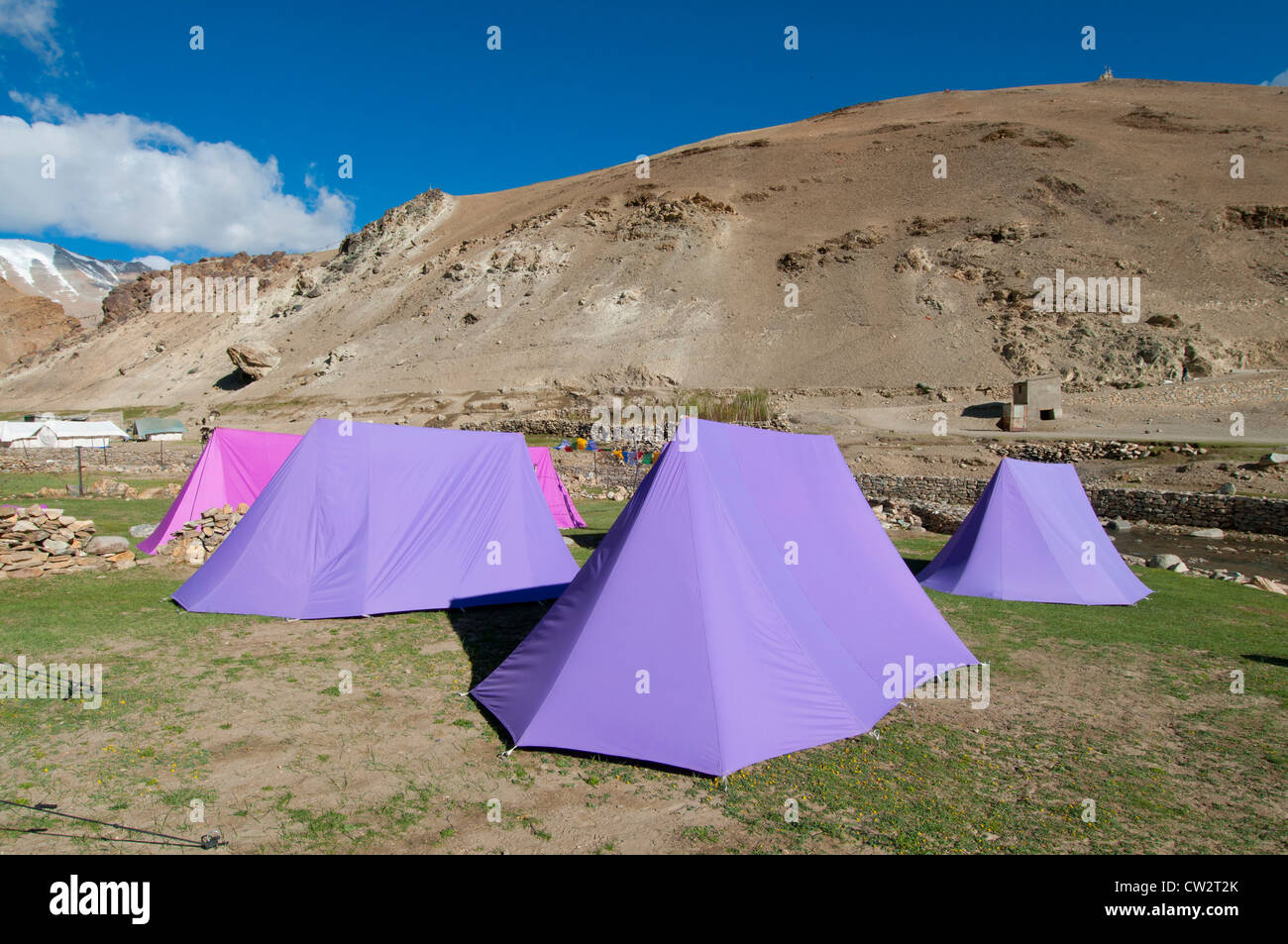 Un camping de tentes rose et pourpre sur les champs près de Korzok village de Ladakh, Inde Banque D'Images