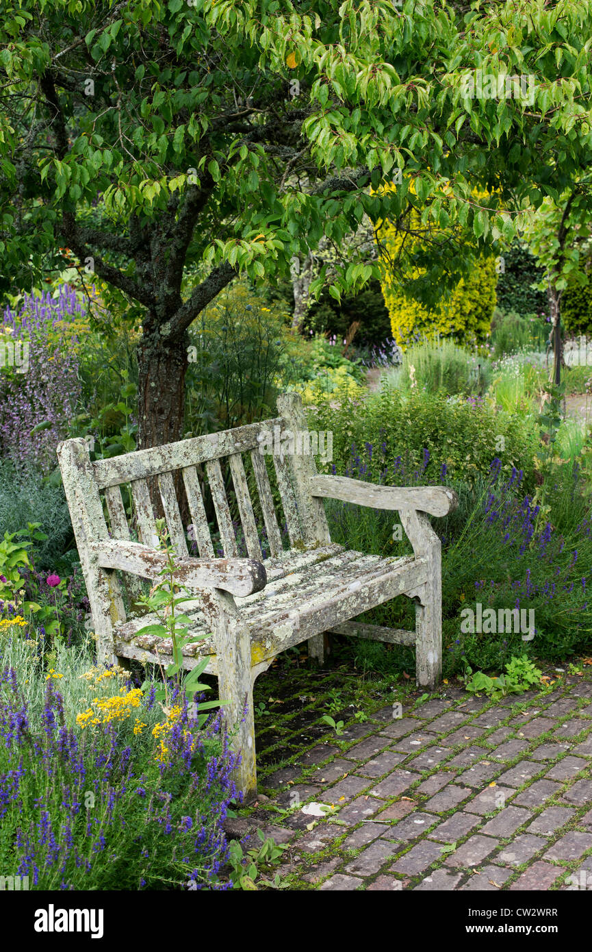 Siège de jardin en RHS Rosemoor jardins. Great Torrington, Devon Banque D'Images