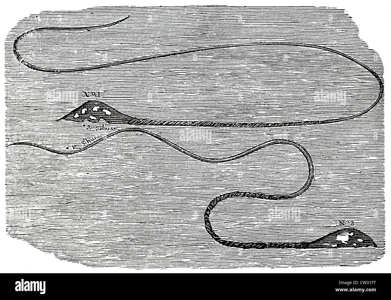 Le serpent de mer de la Baie de Table Banque D'Images