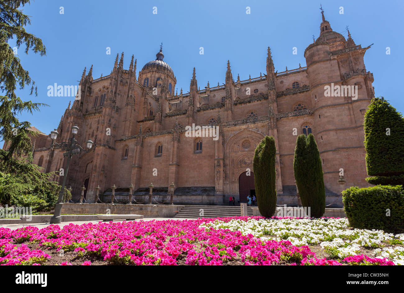 Salamanque, Castille et Leon, Espagne, Europe. La splendide cathédrale bâtiments dans bel ensoleillement dans le centre-ville. Banque D'Images