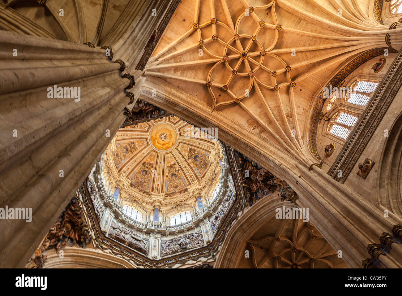 Le magnifique toit fabuleux à l'intérieur de la cathédrale de Salamanque, Castille et Leon, Espagne, Europe. Banque D'Images