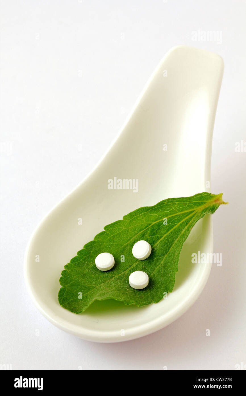 L'herbe douce. Le Stevia rebaudiana Banque D'Images